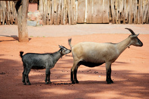 IMG_4260_web.jpg IMG_4260_web.jpg