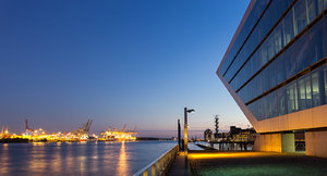 _MG_4577_1600.jpg _MG_4577_1600.jpg