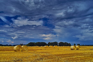 2014_07_14_SD9_Rasdorf_Strohfeld_0007_VarA_1350x900pix.jpg 2014_07_14_SD9_Rasdorf_Strohfeld_0007_VarA_1350x900pix.jpg