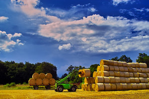 2014_07_14_SD9_Rasdorf_Strohfeld_0041_VarA_1350x900pix.jpg 2014_07_14_SD9_Rasdorf_Strohfeld_0041_VarA_1350x900pix.jpg