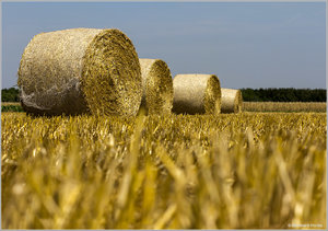 Strohballen_6347.jpg