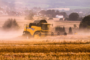 IMG_9531.jpg IMG_9531.jpg