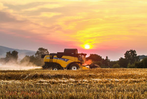 IMG_9535.jpg IMG_9535.jpg