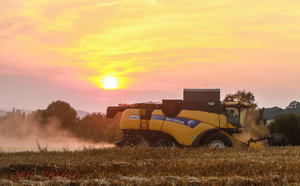 IMG_9542.jpg IMG_9542.jpg