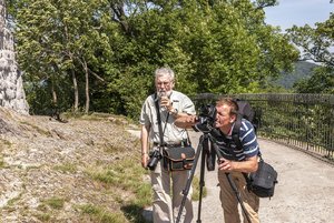 comp__DSC3924.jpg comp__DSC3924.jpg