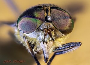 2014-07-19_18-42-48 M=C R=8 S=4-22.jpg 2014-07-19_18-42-48 M=C R=8 S=4-22.jpg