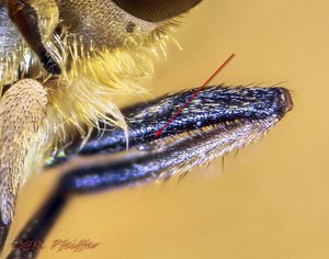 2014-07-19_18-42-48 M=C R=8 S=4-2-22.jpg 2014-07-19_18-42-48 M=C R=8 S=4-2-22.jpg