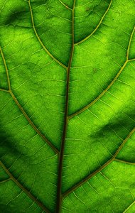 comp_DSC_1236.jpg comp_DSC_1236.jpg