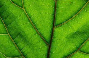 comp_DSC_1237.jpg comp_DSC_1237.jpg