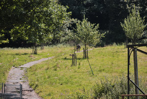 DSC_2434.JPG DSC_2434.JPG