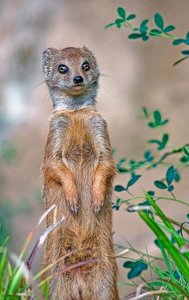 attachmentX7RHM3M2_ji.jpg attachmentX7RHM3M2_ji.jpg