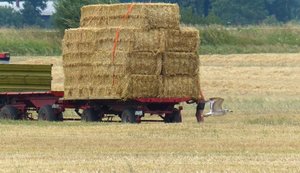 ErnteMöw1.jpg ErnteMöw1.jpg