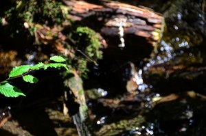 DSC_9469_ji_c.jpg DSC_9469_ji_c.jpg