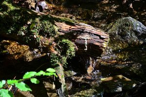 DSC_9472_ji_c.jpg DSC_9472_ji_c.jpg