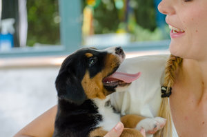 Fotoforum Welpen (2 von 10).jpg