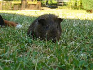 Emelie (2 von 4).jpg