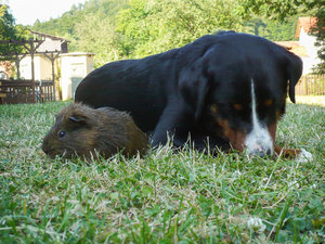 Emelie (4 von 4).jpg