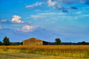 2014_07_15_SD9_Zallmsdorf_Scheune_Raps_96_98_VarA_1350x900pix.jpg 2014_07_15_SD9_Zallmsdorf_Scheune_Raps_96_98_VarA_1350x900pix.jpg