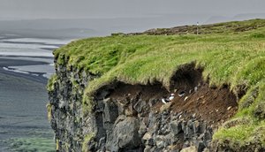 ISL_SDIM7264 Kopie.jpg