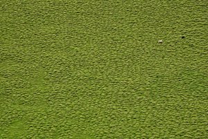 ISL_SDIM7300 Kopie.jpg