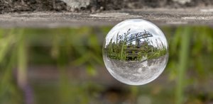 comp__DSC8112+.jpg comp__DSC8112+.jpg