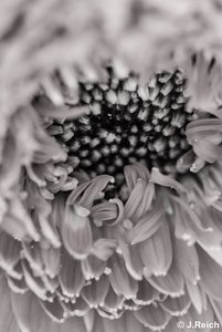 unbenannt (1 von 1)-41.jpg