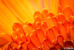 unbenannt (1 von 1)-39.jpg