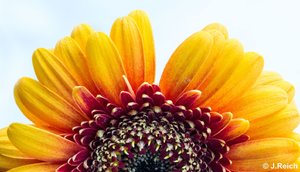 unbenannt (1 von 1)-29.jpg