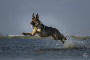 comp__MG_4088-Bearbeitet.jpg comp__MG_4088-Bearbeitet.jpg