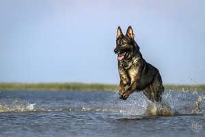 comp__MG_4162-Bearbeitet.jpg comp__MG_4162-Bearbeitet.jpg