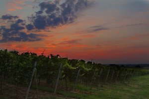 1488275_745148375542558_8464697794980606178_n.jpg 1488275_745148375542558_8464697794980606178_n.jpg