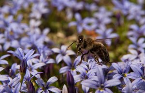 1-Westfahlenpark Dortmund 253a-2.jpg