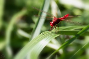 IMG_6938.jpg IMG_6938.jpg