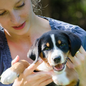 Welpen (3 von 10).jpg