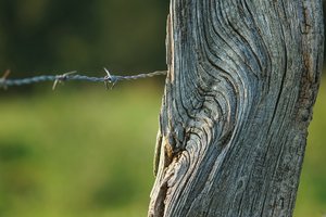 DSC04143 Nex 5r + CZJ Alu-Sonnar 4,0 135mm psf (c) PPf.jpg