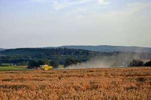 DSC_3553_bearbeitet-1 (Medium).jpg