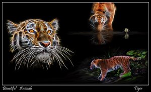 20140501-Zoo 057e-2.jpg