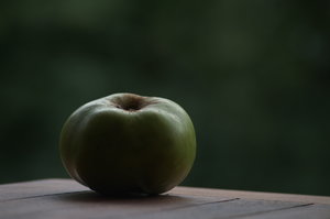 Apfel III.jpg