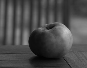 Apfel sw.jpg