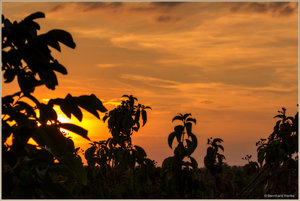 Sonnenuntergang_6833.jpg