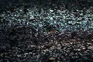 DSC04419 Nex 5r + Soligor 2,0 135mm_cr (c) PPf.jpg