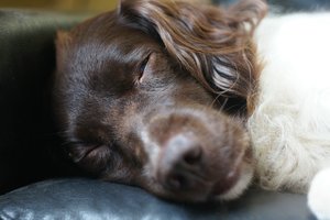 DSC04392 (c) PPf.jpg