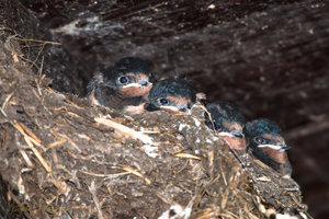 IMG_3351.jpg IMG_3351.jpg