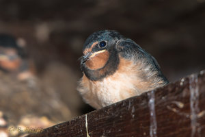 IMG_3353.jpg IMG_3353.jpg