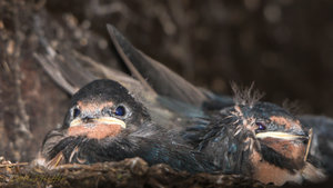 IMG_3356.jpg IMG_3356.jpg