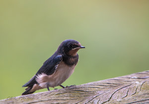 IMG_3399.jpg IMG_3399.jpg