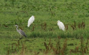 IMG_0655-222.jpg IMG_0655-222.jpg