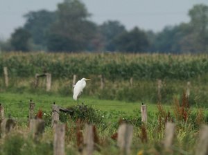 IMG_0664-22.jpg IMG_0664-22.jpg