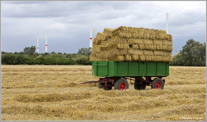 Strohwagen_7082.jpg