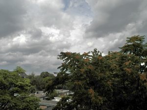 1. Foto mit der neuen Kamera.jpg